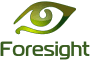 foresight.png
